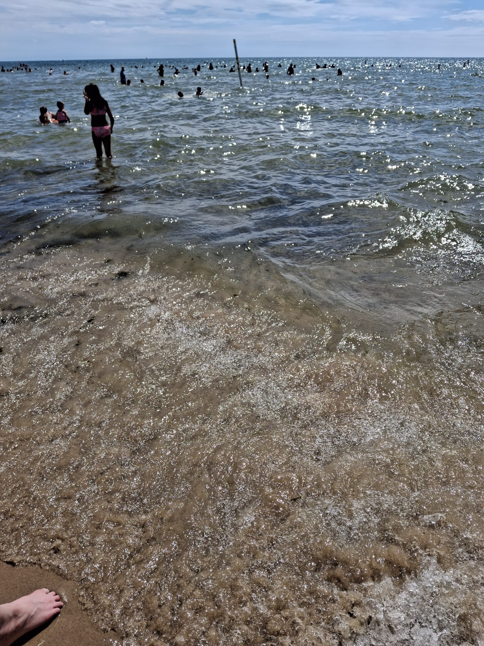 beach, Lake Michigan, South Haven