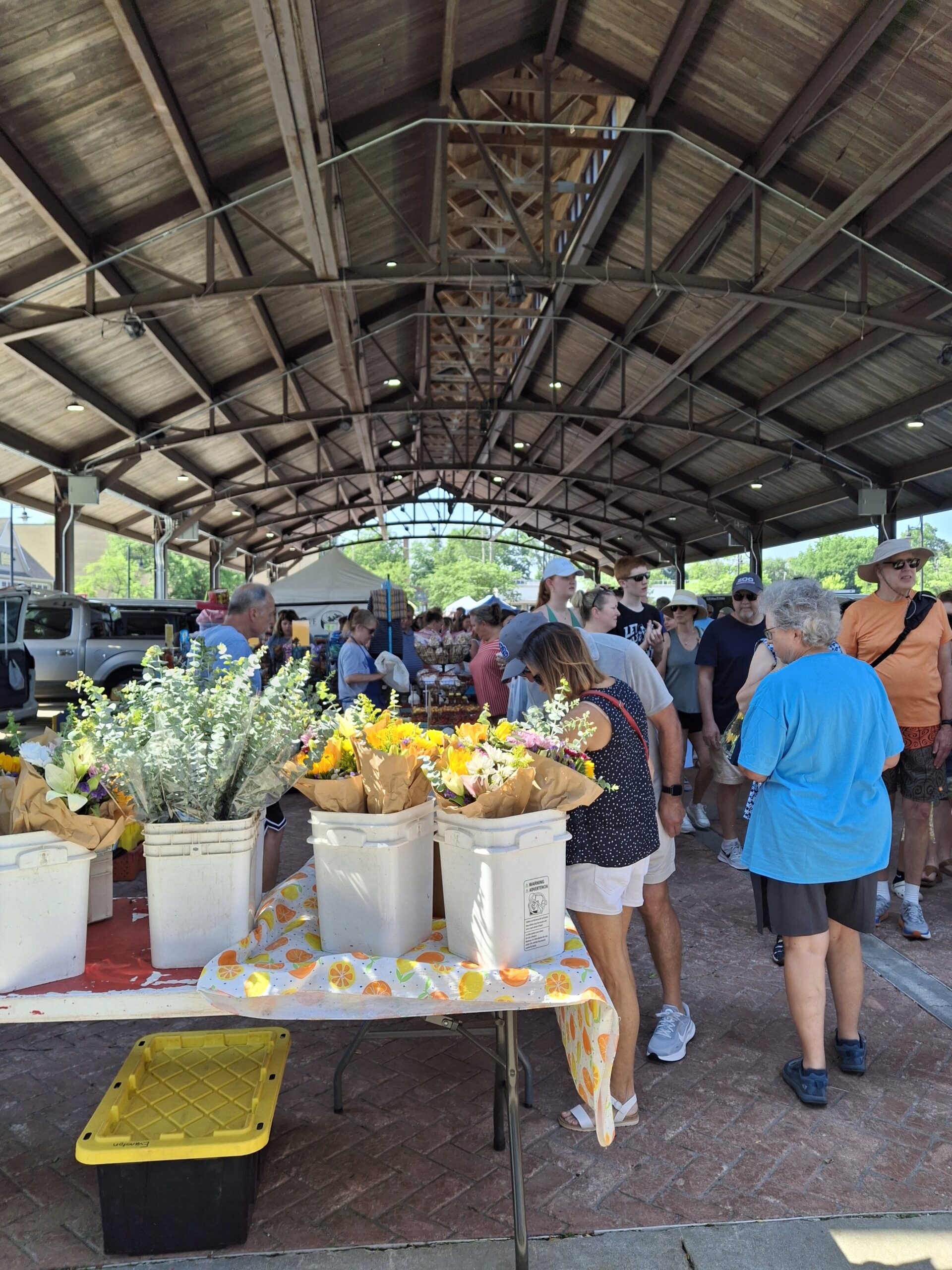 farmers market, south haven